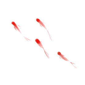 红色水墨鱼金鱼锦鲤游水gif图素材图片