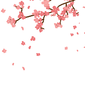 梅花粉色桃花樱花植物树枝开花花瓣漂浮素材gif图素材图片
