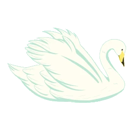 白天鹅展翅天鹅动物鸟类gif图素材