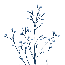 冬天冬季霜降树枝积雪下雪植物gif图素材图片