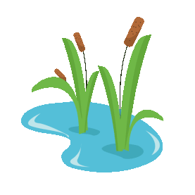 菖蒲芦苇水洼水生植物池塘夏天夏季gif图素材