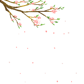 春天桃花樱花飘落植物树枝gif图素材