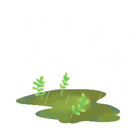 春天谷雨大自然环境雨水绿色叶子生长下雨绿色gif图素材图片