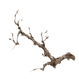 植物松柏松树冬天水墨中国风gif图素材图片