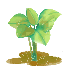 春天谷雨植物下雨水滴落下绿色gif图素材图片