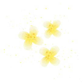 春天花朵桂花vlog贴纸装饰小清新黄色gif图素材