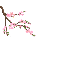 春天桃花梅花树枝飘落粉色gif图素材