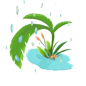春天下雨雨滴植物gif图素材图片