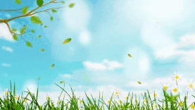 春天清新蓝天草地视频背景gif图素材图片