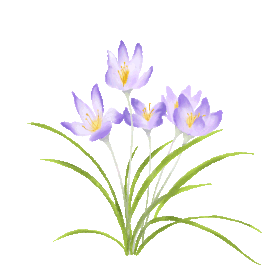 春天兰花植物花gif图素材图片