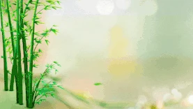 春天竹子绿色飘落视频背景gif图素材