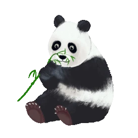 动物国宝熊猫吃竹子可爱gif图素材
