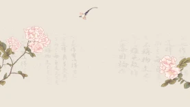 中国风牡丹喜鹊古典视频海报背景gif图素材图片