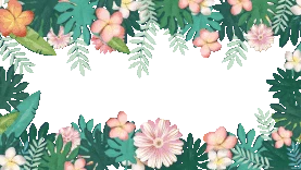 春天花朵绿叶背景边框森系视频边框gif图素材图片