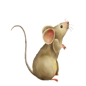 小老鼠写实动物十二生肖gif图素材图片