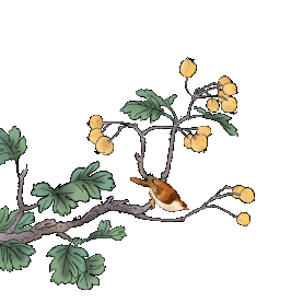 花鸟树枝水墨国画中国风gif图素材图片