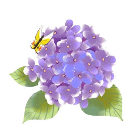 春天花花朵蝴蝶绣球花紫色gif图素材图片