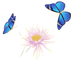 春天蝴蝶与花朵唯美gif图素材