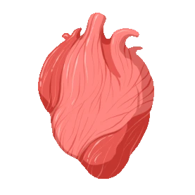 医疗人体器官心脏卡通gif图素材