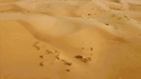 沙漠荒漠风沙风景自然实景gif图片视频背景gif图素材图片