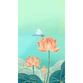 夏天荷叶荷花蜻蜓中国风国潮绿色竖版视频背景海报gif图素材