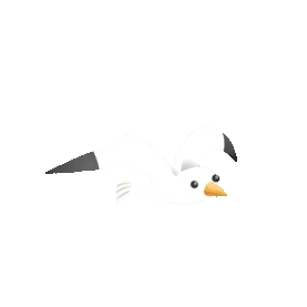 白色海鸥飞鸟鸟类空中飞翔翱翔gif图素材