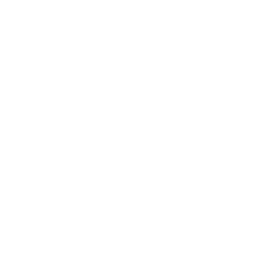海鸥飞鸟鸟类鸟飞翔线条白色gif图素材图片