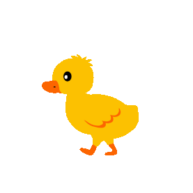 鸭子小黄鸭走路走动物家禽黄色gif图素材