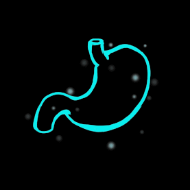 科技感胃部人体器官线条蓝色