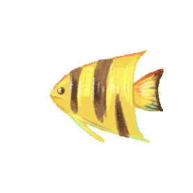 六一儿童节61鱼鱼类黄色蜡笔粉笔油画棒贴纸gif图素材 