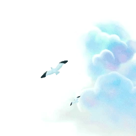 海鸥白云云朵云飞翔白色gif图素材
