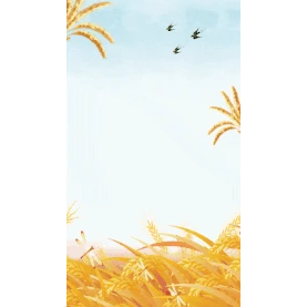 芒种金色麦田竖版视频海报背景gif图素材