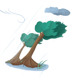 自然灾害恶劣天气台风暴雨雨水下雨大风刮风风树木gif图素材