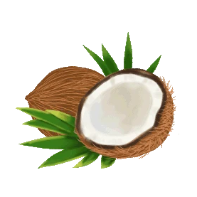 热带水果椰子gif图素材图片