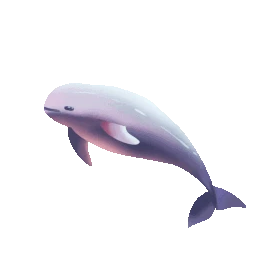 海豚动物gif图素材