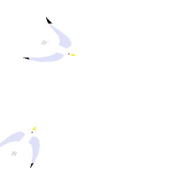 海鸥飞鸟小鸟白色gif图素材