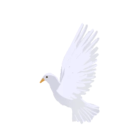 鸽子小鸟飞翔可爱白色动物gif图素材