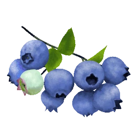 一串成熟蓝莓摆动写实蓝色水果动图gif