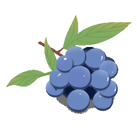 水果生鲜新鲜黑加仑葡萄提子水果动图gif