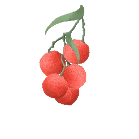 夏天新鲜水果荔枝掉落落下红色gif图素材图片