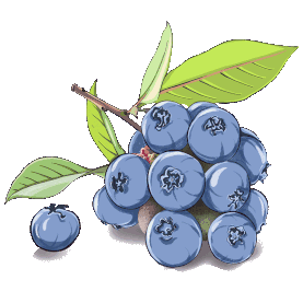 好吃美味健康水果蓝莓蓝色gif图素材