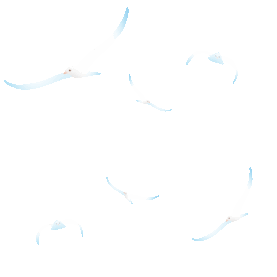 夏天海鸥飞翔飞行卡通白色gif图素材
