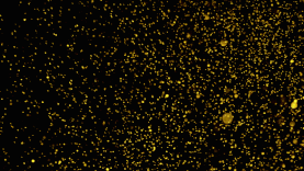 光效发光金粉粒子飘散视频背景gif图素材