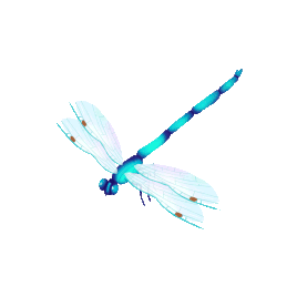 蓝色蜻蜓昆虫卡通gif图素材