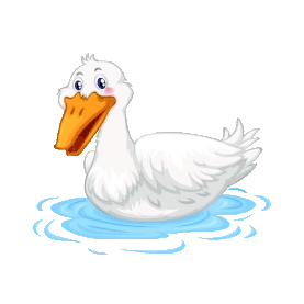 动物浮水白鸭子gif图素材
