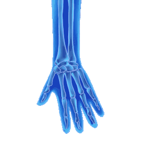 蓝色医疗人体手掌手腕关节疼痛病症gif图素材