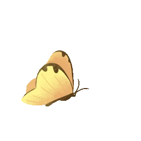昆虫黄色蝴蝶飞舞gif图素材