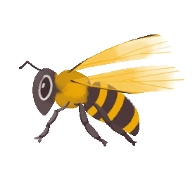 飞翔的大黄蜂昆虫gif图素材图片