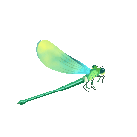 一只绿色蜻蜓昆虫gif图素材