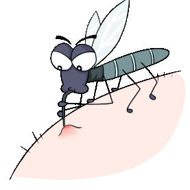 夏天蚊子蚊虫叮咬预防疾病夏季卫生gif图素材